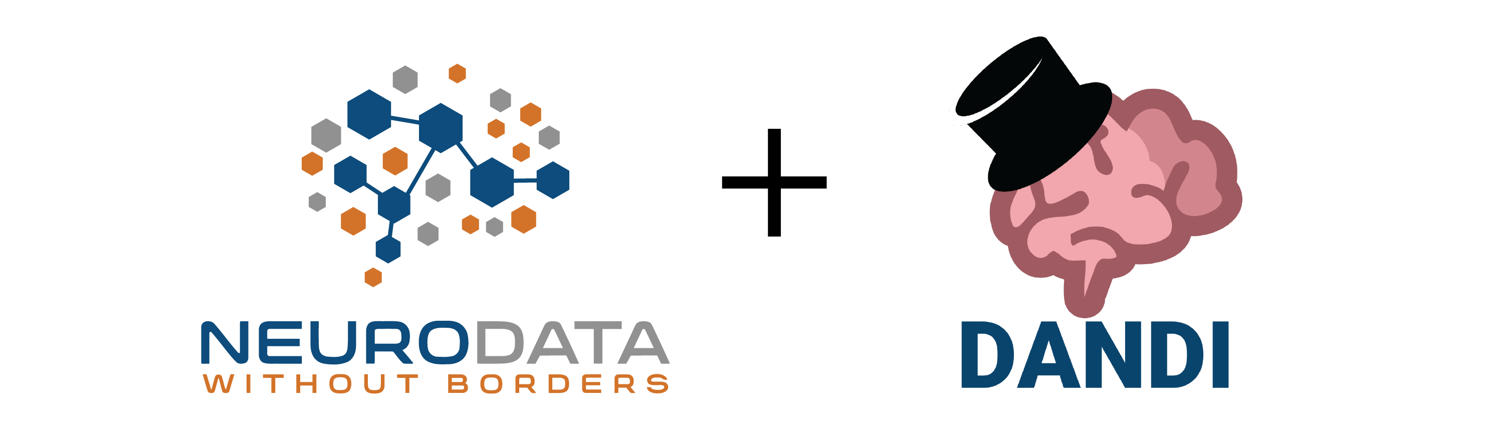 NWB and DANDI Workshop at University of Washington